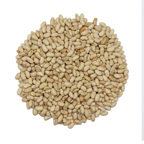 تصویر 2 از خرید و قیمت دانه سویا آجیلی فروش عمده